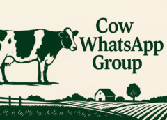Cow WhatsApp Group Links: Join, Learn & Connect with Cow Lovers Worldwide